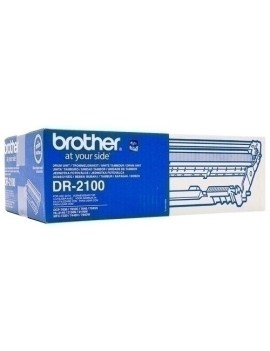 Tambor Brother Dr-2100 (12.000 Pág.)