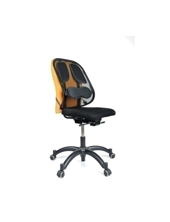 Soporte Lumbar Fellowes Mesh Profesional