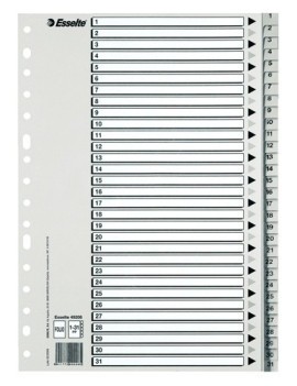 Indice Esselte Pp Num.Fº Ps.1-31 Ind.B/N