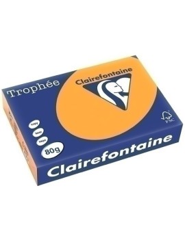 Papel Color A4 Trophee 80G 500H Clementi