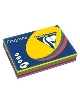 Papel Color A4 Trophee 80G 500H Surt.Viv