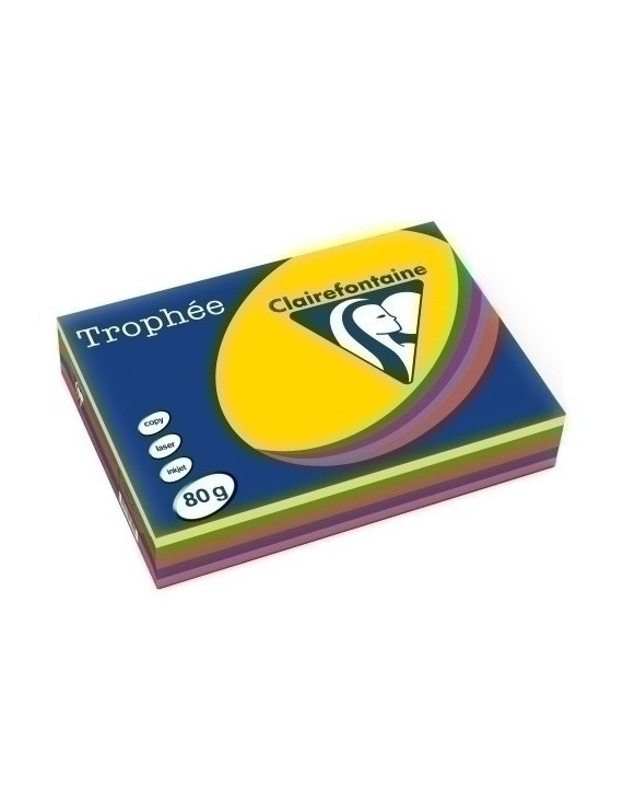 Papel Color A4 Trophee 80G 500H Surt.Viv