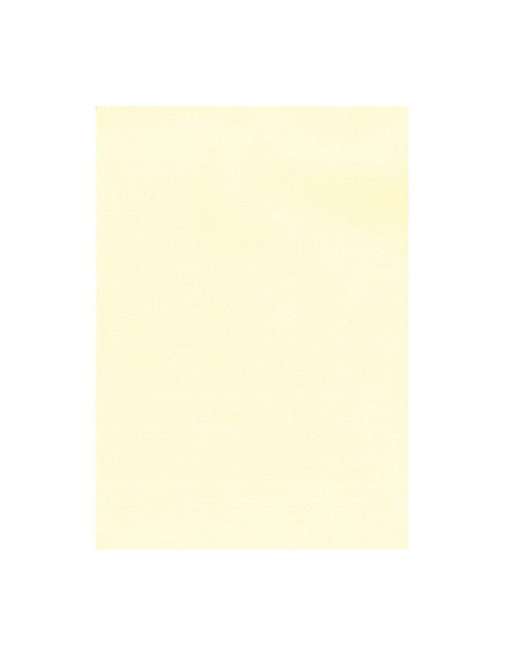 Papel Verjur.A4 Apli 100G 100H Crema