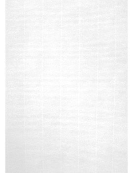 Papel Verjur.A4 Apli 220G 20H Blanco