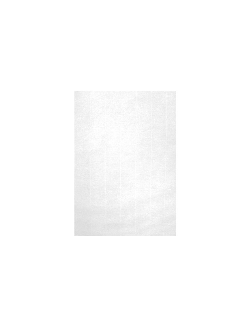 Papel Verjur.A4 Apli 220G 20H Blanco