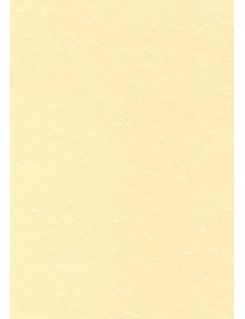 Papel Pergamino A4 Apli 95G 100H Champan