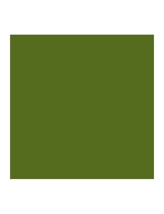 Cartulina A3 Iris 185G Verde Safari P/50