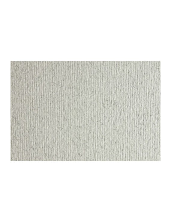 Cartulina 50X70 Fabri. 220G Lr Brina P/2