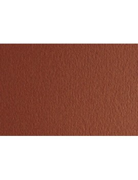 Cartulina 50X70 Fabri. 220G Lr Terra Bru