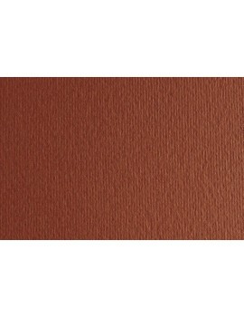 Cartulina 50X70 Fabri. 220G Lr Terra Bru