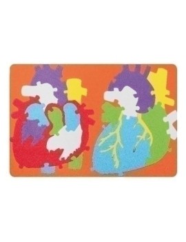 Goma Eva Fixo Puzzle 23X32 Sistema Cardi