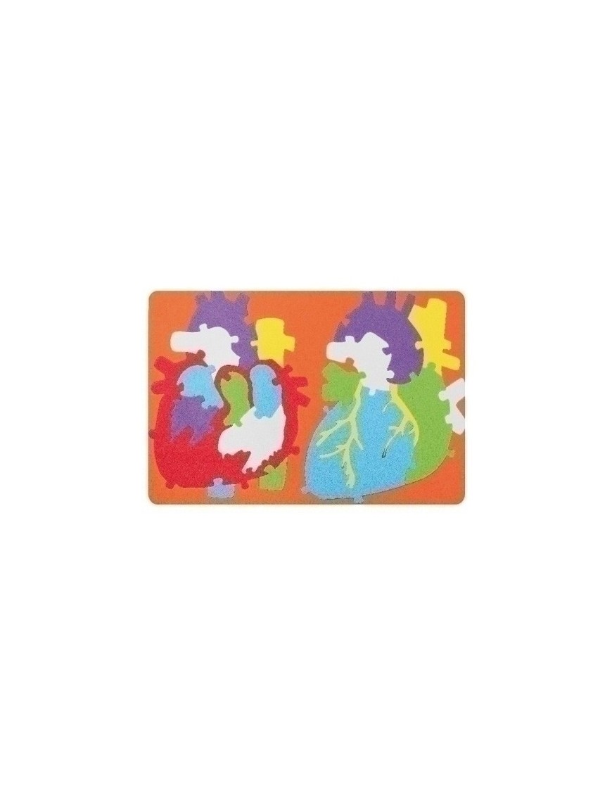 Goma Eva Fixo Puzzle 23X32 Sistema Cardi