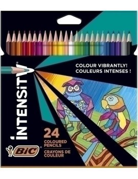 Lapices Color Bic Intensity Up B/24