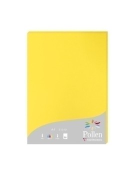 Papel Clairefontaine Pollen A4 25H Amari