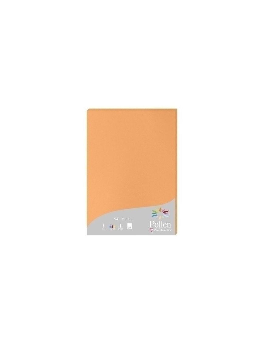 Papel Clairefontaine Pollen A4 25H Cleme