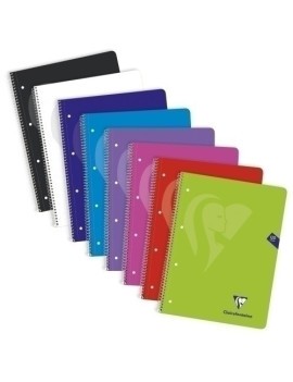 Block Clairefontaine Pp Micro A4 120 5X5