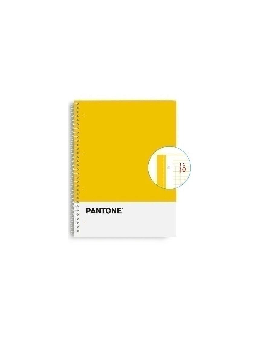 Block Escol.Pantone A4 Basic 80H 5X5 Am