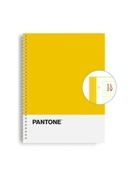 Block Escol.Pantone A4 Basic 80H 5X5 Am