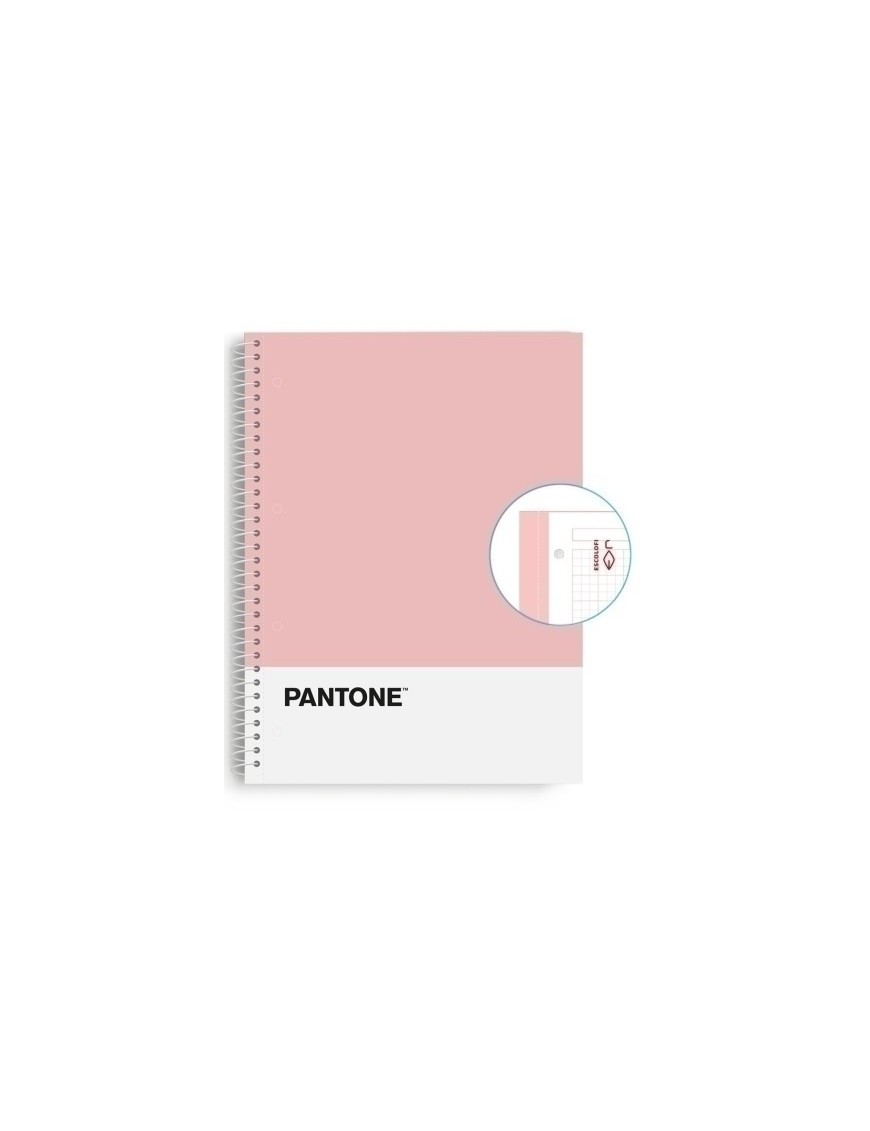 Block Escol.Pantone A4 Basic 80H 5X5 Rs