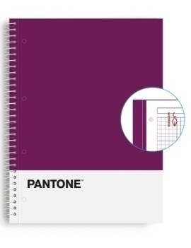 Block Escol.Pantone A4 Basic 80H 5X5 Vl