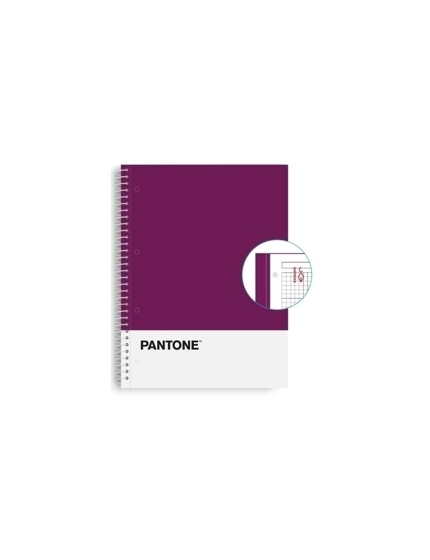 Block Escol.Pantone A4 Basic 80H 5X5 Vl