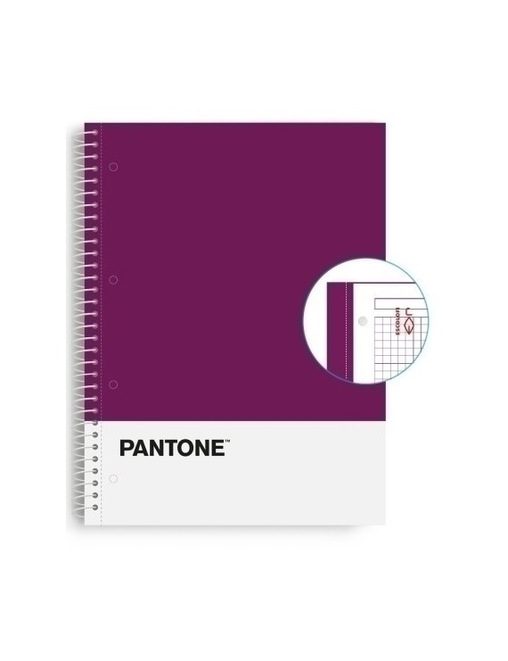 Block Escol.Pantone A4 Basic 80H 5X5 Vl