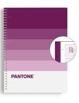 Block Escol.Pantone A4 Speaks 80H 5X5 Ft