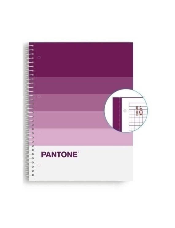 Block Escol.Pantone A4 Speaks 80H 5X5 Ft