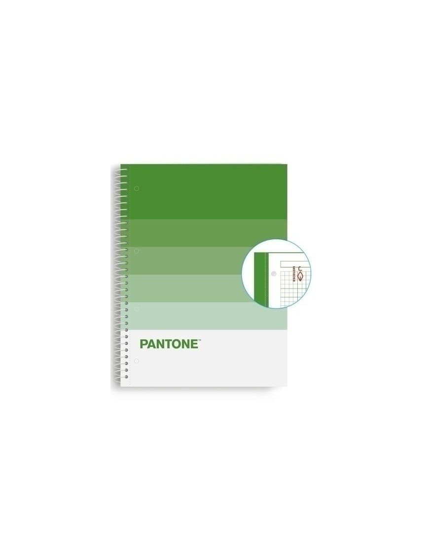 Block Escol.Pantone A4 Speaks 80H 5X5 Nt