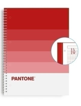 Block Escol.Pantone A4 Speaks 80H 5X5 Ps