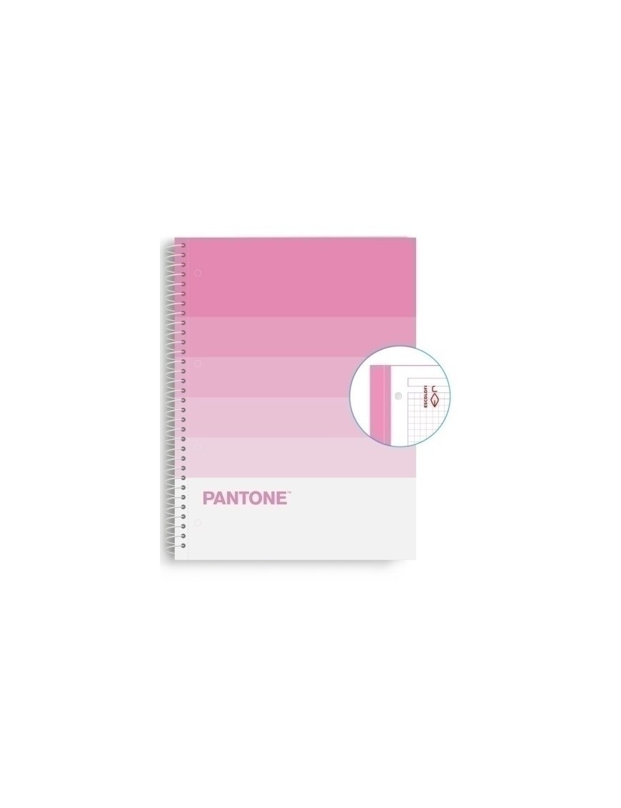 Block Escol.Pantone A4 Speaks 80H 5X5 Sw