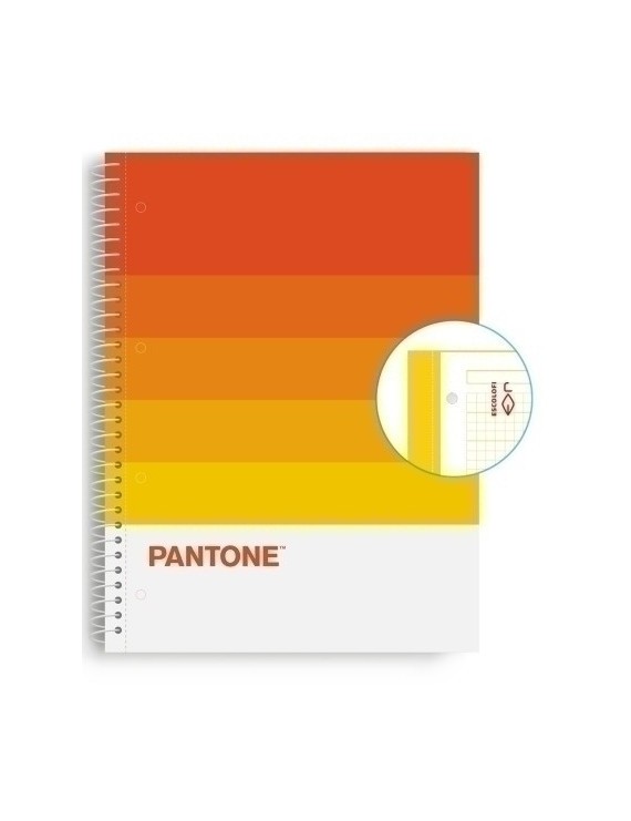 Block Escol.Pantone A4 Speaks 80H 5X5 Wr