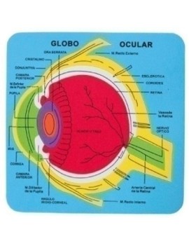 GOMA EVA FIXO PUZZLE 21x21...