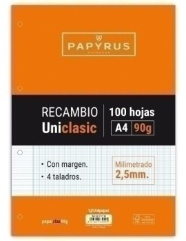 RECAMBIO PAPYRUS A4 100h 4...