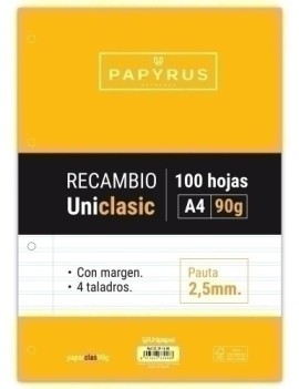 RECAMBIO PAPYRUS A4 100h 4...