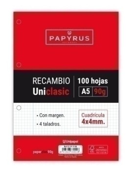 RECAMBIO PAPYRUS A5 100h 4...