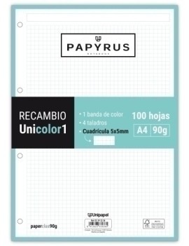 RECAMBIO PAPYRUS A4 100h 4...