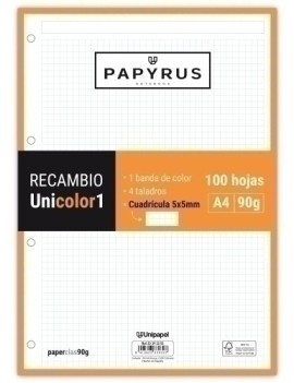 RECAMBIO PAPYRUS A4 100h 4...