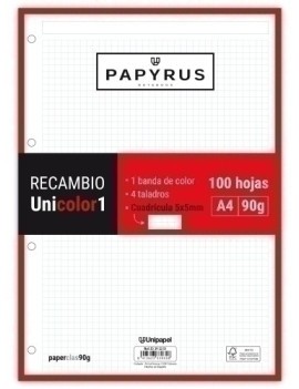 RECAMBIO PAPYRUS A4 100h 4...