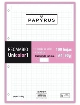 RECAMBIO PAPYRUS A4 100h 4...