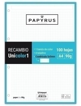 RECAMBIO PAPYRUS A4 100h 4...