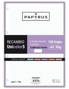 RECAMBIO PAPYRUS A4 100h 4...