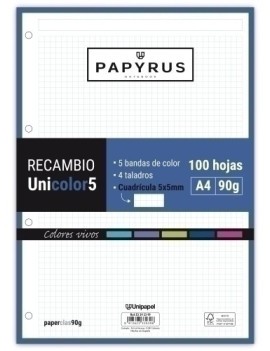 RECAMBIO PAPYRUS A4 100h 4...