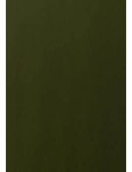 Papel Regalo Bobina Tv 70X100 Kraft Verd