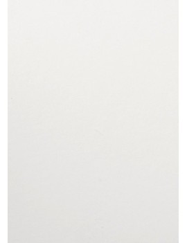 Bolsa papel tv cel. 14x9 blanco p/25