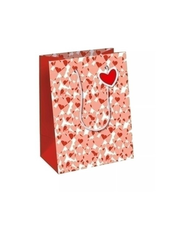 Bolsa papel excellia 25x22 amor p/6