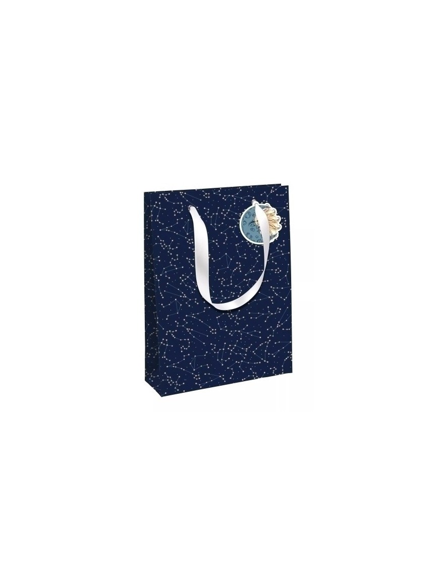 Bolsa papel excellia 33x27 astral p/6