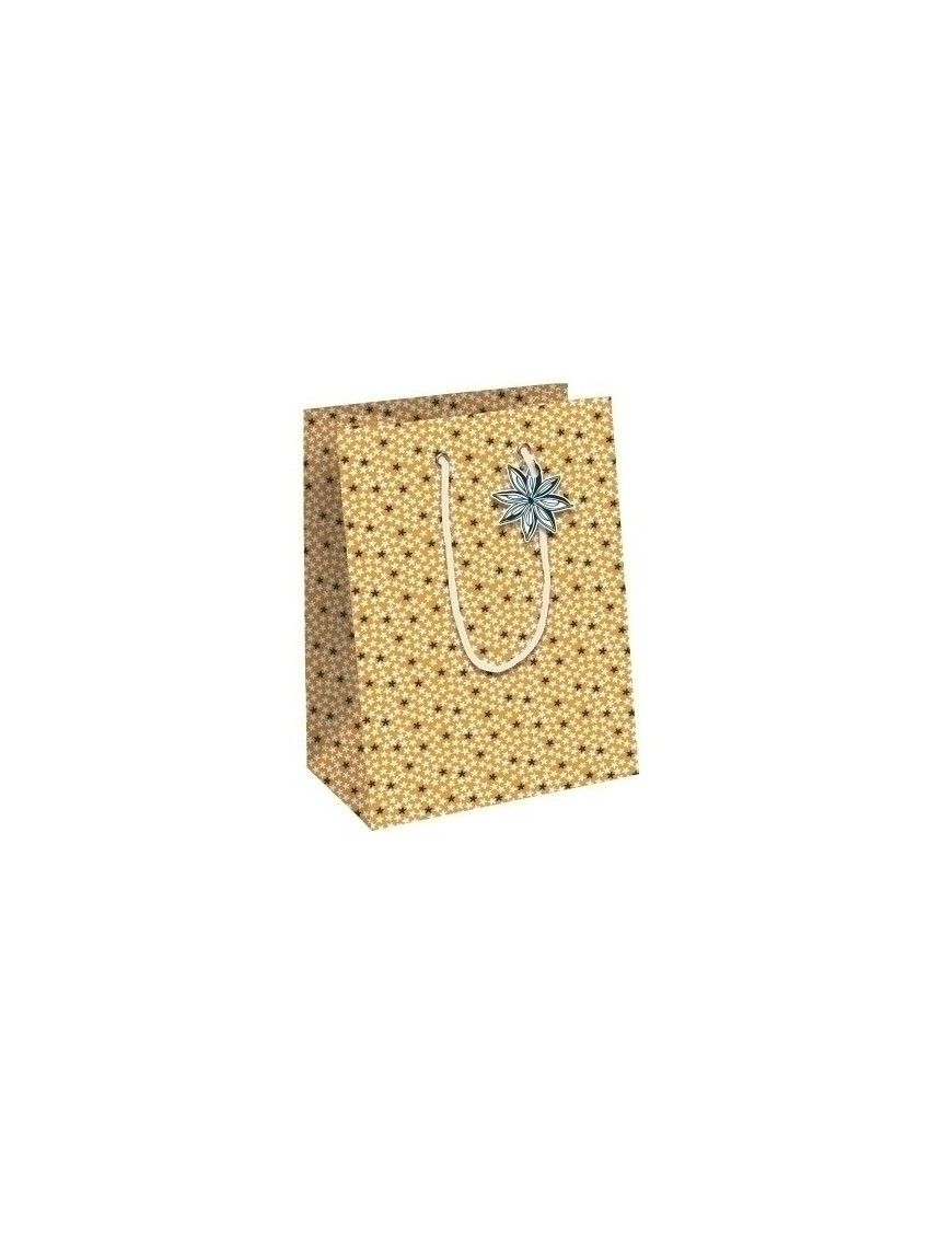 Bolsa papel kraft  25x22 citricos p/6