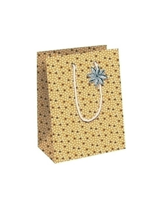 Bolsa papel kraft  25x22 citricos p/6
