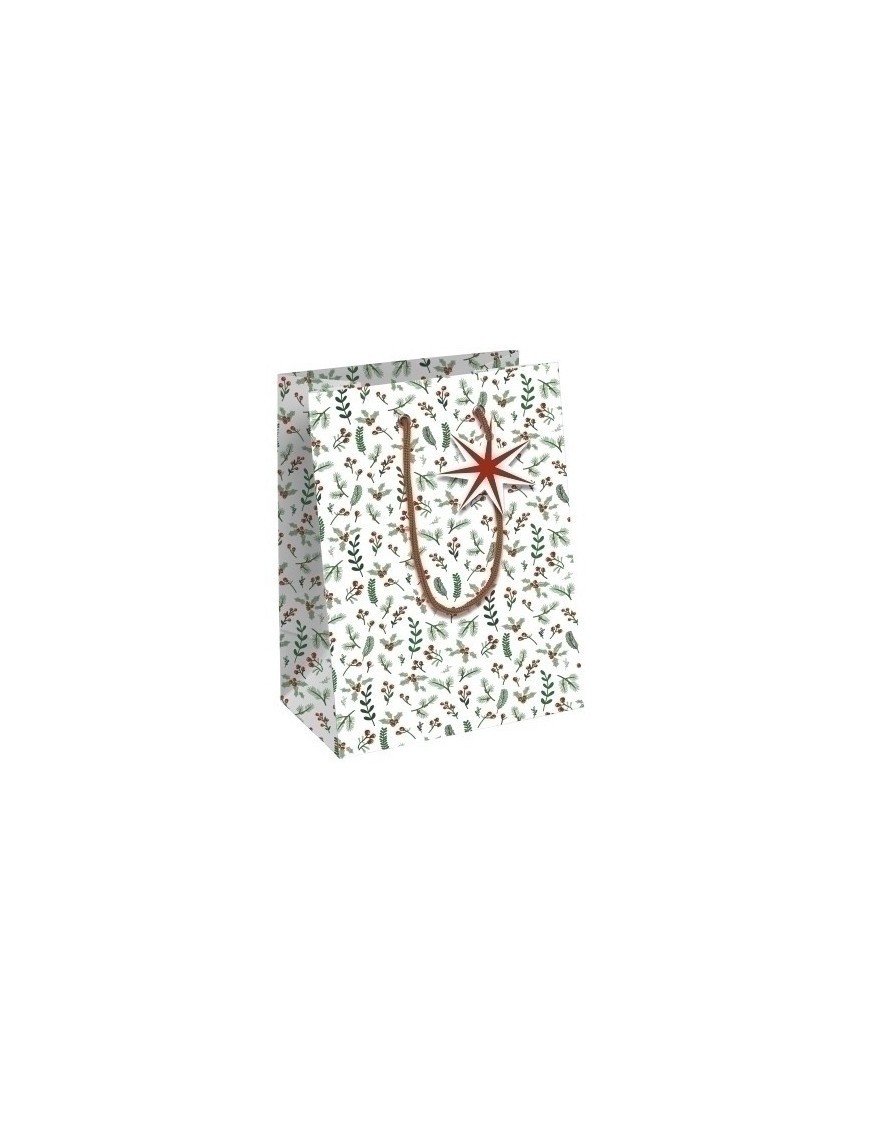 Bolsa papel kraft  25x22 cosi nav. p/6